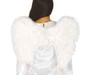 Křídla bílá, 60x45 cm